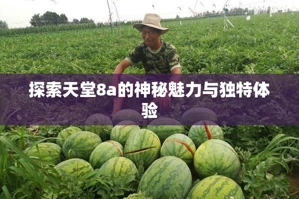 探索天堂8a的神秘魅力与独特体验