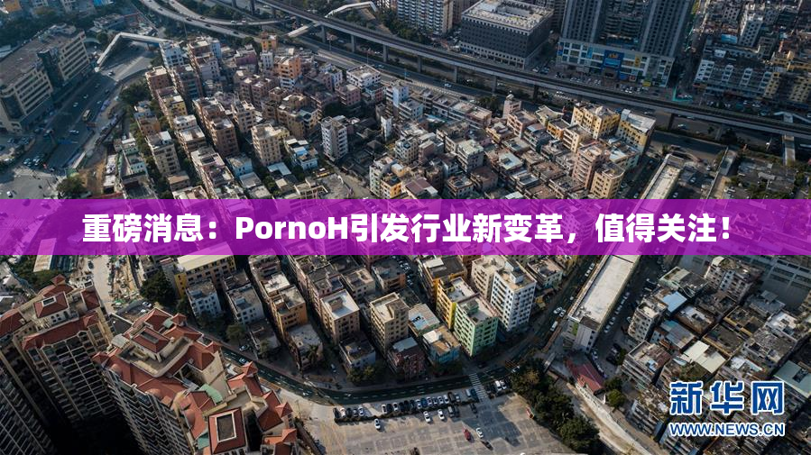 重磅消息：PornoH引发行业新变革，值得关注！