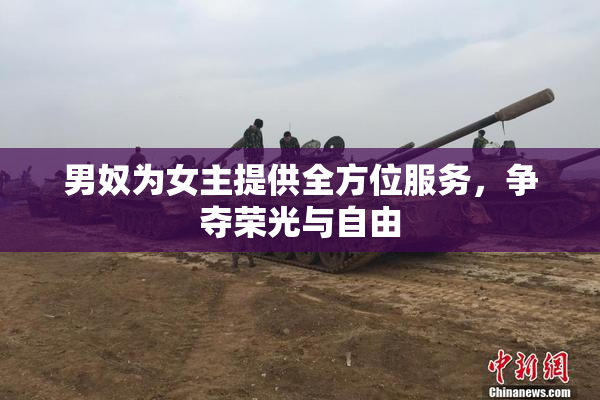 男奴为女主提供全方位服务，争夺荣光与自由