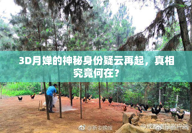 3D月婵的神秘身份疑云再起，真相究竟何在？