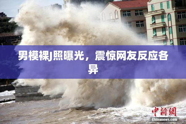 男模裸J照曝光，震惊网友反应各异