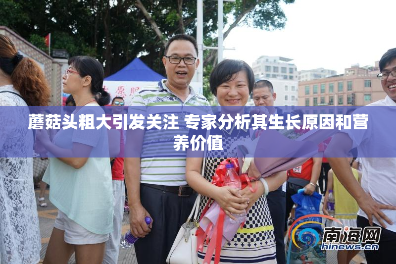 蘑菇头粗大引发关注 专家分析其生长原因和营养价值