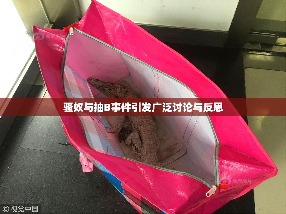 骚奴与抽B事件引发广泛讨论与反思