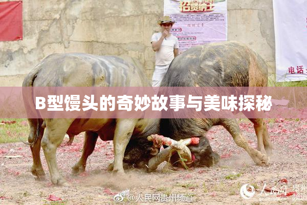 B型馒头的奇妙故事与美味探秘