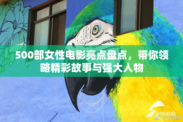 500部女性电影亮点盘点，带你领略精彩故事与强大人物