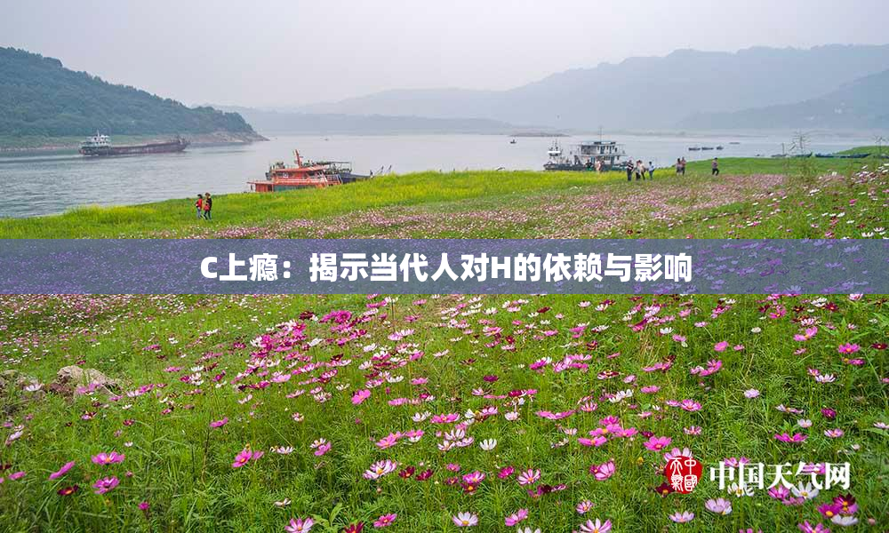C上瘾：揭示当代人对H的依赖与影响