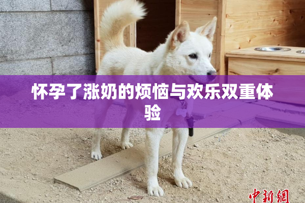 怀孕了涨奶的烦恼与欢乐双重体验