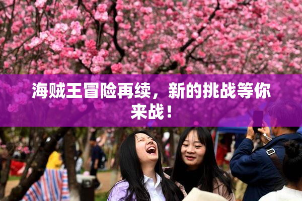 海贼王冒险再续，新的挑战等你来战！