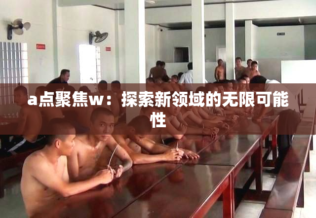 a点聚焦w：探索新领域的无限可能性