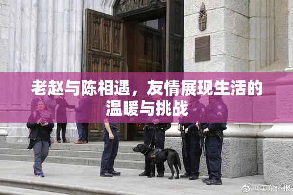 老赵与陈相遇，友情展现生活的温暖与挑战