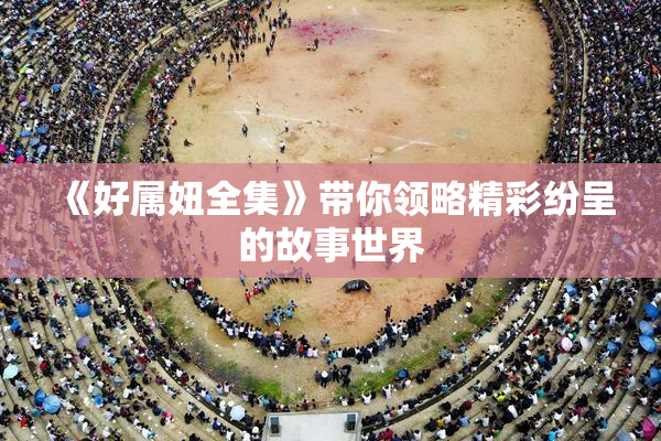 《好属妞全集》带你领略精彩纷呈的故事世界