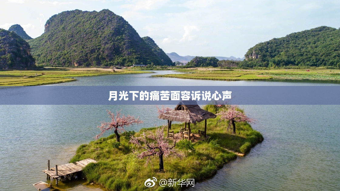 月光下的痛苦面容诉说心声