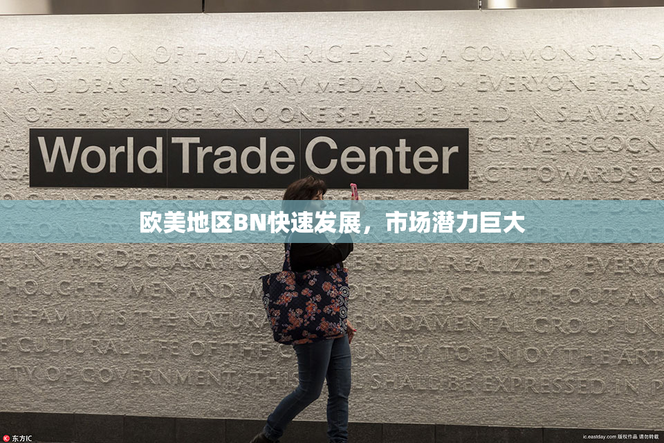 欧美地区BN快速发展，市场潜力巨大