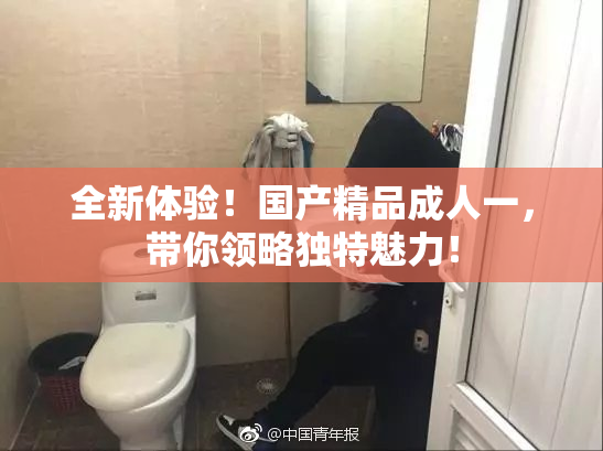 全新体验！国产精品成人一，带你领略独特魅力！
