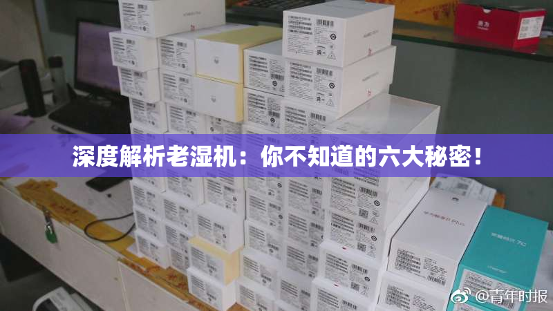 深度解析老湿机：你不知道的六大秘密！