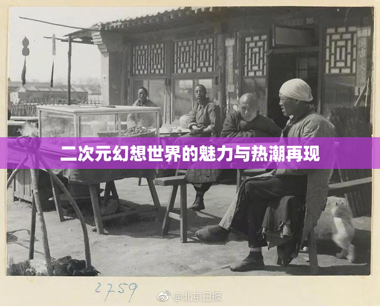 二次元幻想世界的魅力与热潮再现