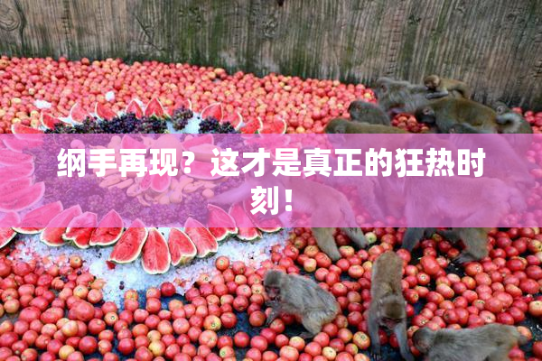 纲手再现？这才是真正的狂热时刻！