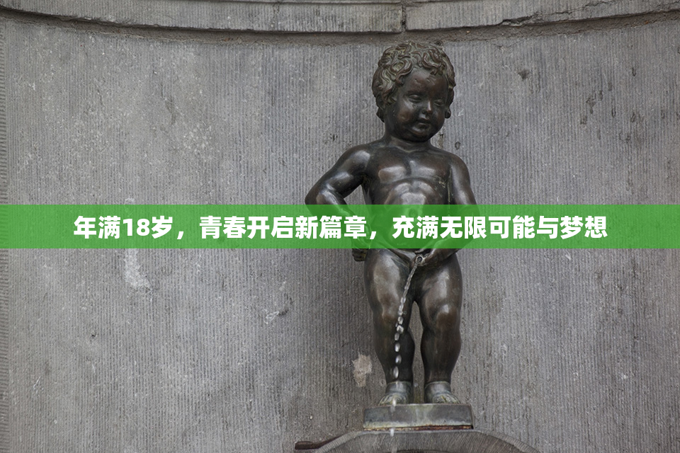 年满18岁，青春开启新篇章，充满无限可能与梦想