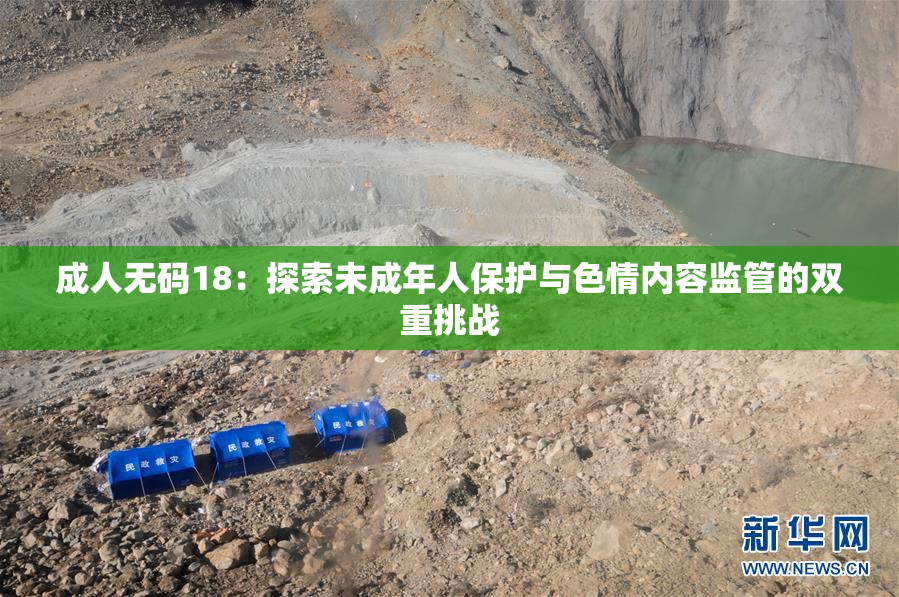 成人无码18：探索未成年人保护与色情内容监管的双重挑战