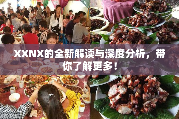 XXNX的全新解读与深度分析，带你了解更多！