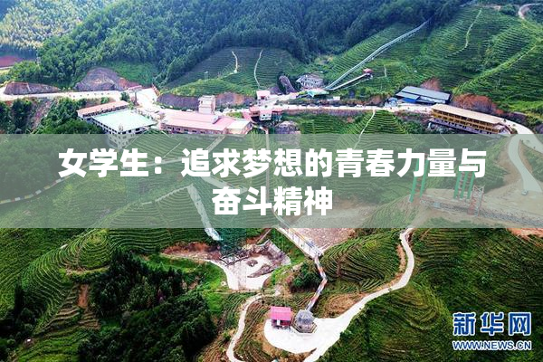 女学生：追求梦想的青春力量与奋斗精神