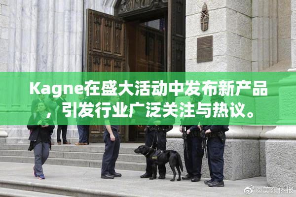 Kagne在盛大活动中发布新产品，引发行业广泛关注与热议。