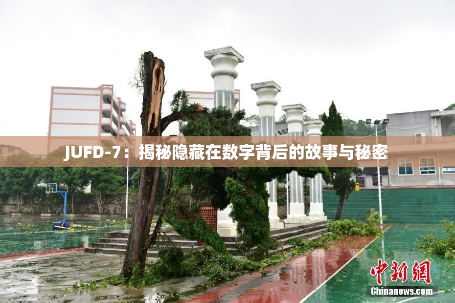 JUFD-7：揭秘隐藏在数字背后的故事与秘密