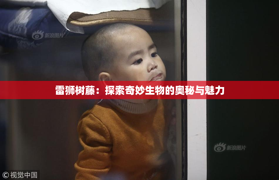 雷狮树藤：探索奇妙生物的奥秘与魅力