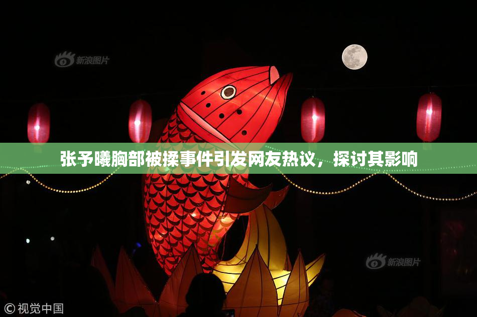 张予曦胸部被揉事件引发网友热议，探讨其影响