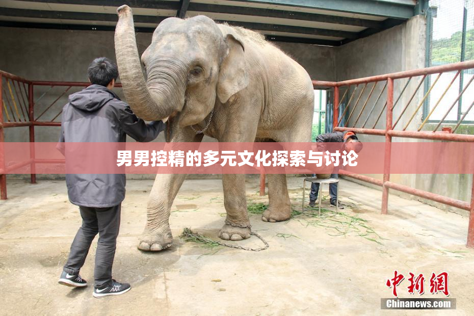 男男控精的多元文化探索与讨论