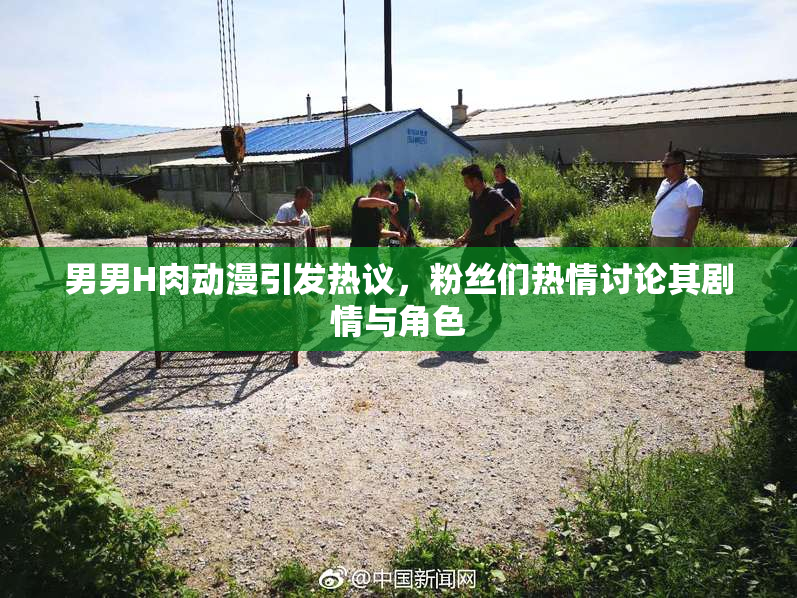 男男H肉动漫引发热议，粉丝们热情讨论其剧情与角色