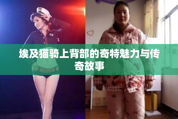 埃及猫骑上背部的奇特魅力与传奇故事