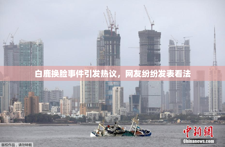 白鹿换脸事件引发热议，网友纷纷发表看法