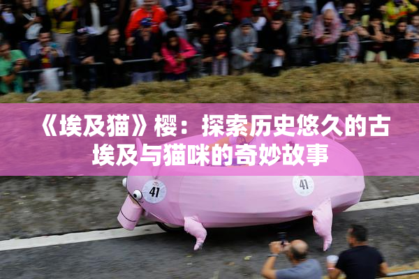 《埃及猫》樱：探索历史悠久的古埃及与猫咪的奇妙故事