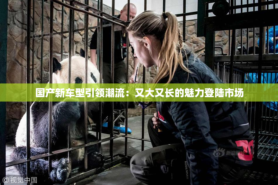 国产新车型引领潮流：又大又长的魅力登陆市场