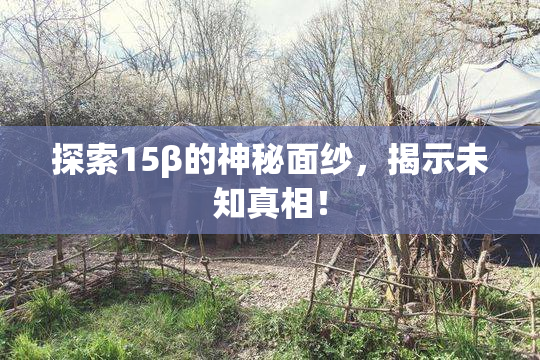 探索15β的神秘面纱，揭示未知真相！