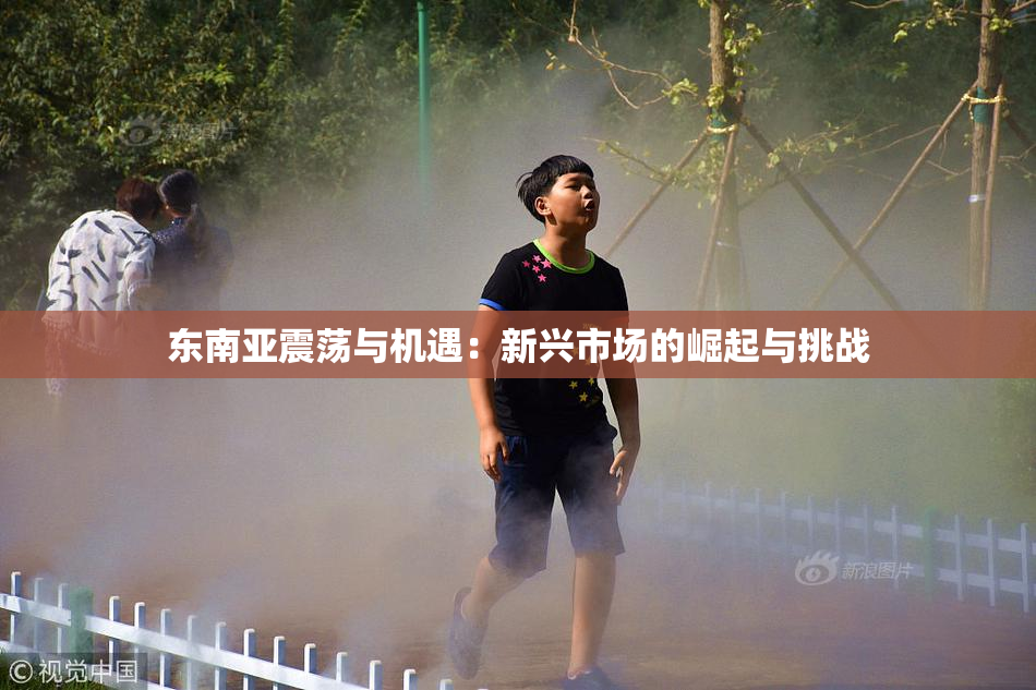 东南亚震荡与机遇：新兴市场的崛起与挑战