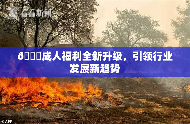 🔞成人福利全新升级，引领行业发展新趋势