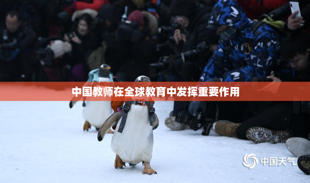 中国教师在全球教育中发挥重要作用