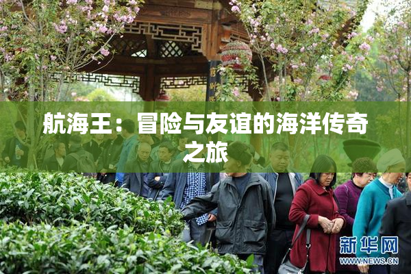 航海王：冒险与友谊的海洋传奇之旅