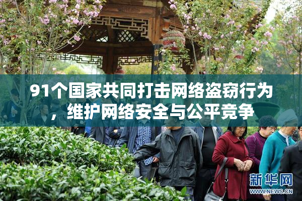 91个国家共同打击网络盗窃行为，维护网络安全与公平竞争