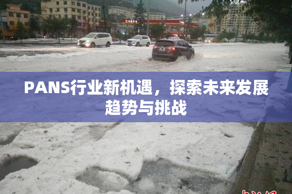 PANS行业新机遇，探索未来发展趋势与挑战