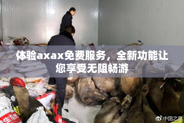 体验axax免费服务，全新功能让您享受无阻畅游