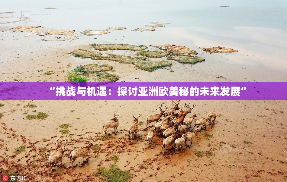 “挑战与机遇：探讨亚洲欧美秘的未来发展”