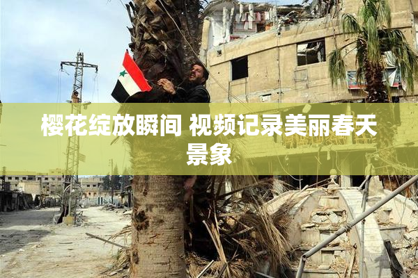 樱花绽放瞬间 视频记录美丽春天景象