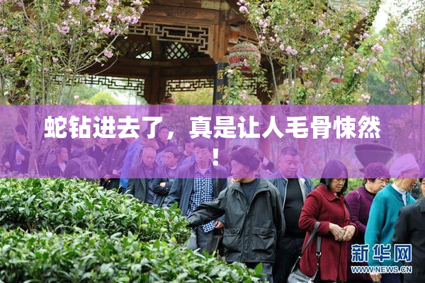 蛇钻进去了，真是让人毛骨悚然！