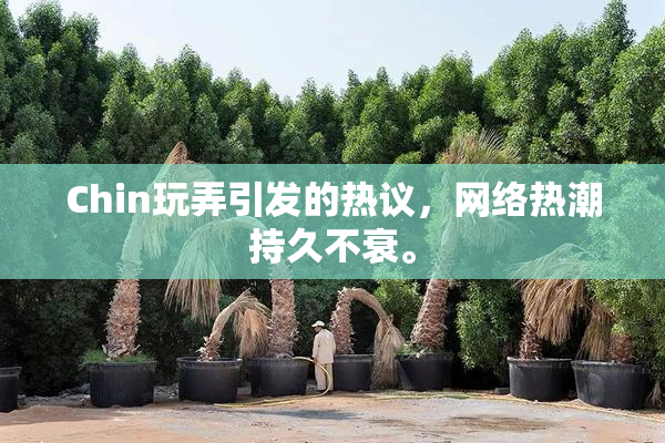 Chin玩弄引发的热议，网络热潮持久不衰。