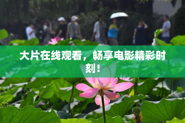 大片在线观看，畅享电影精彩时刻！