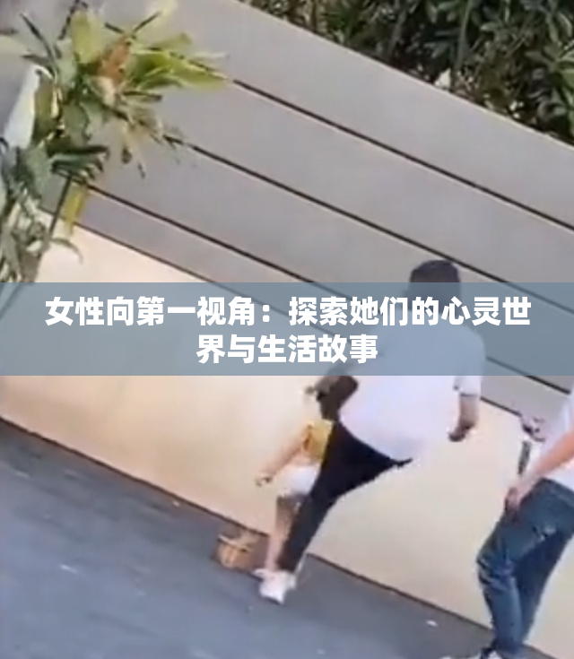 女性向第一视角：探索她们的心灵世界与生活故事