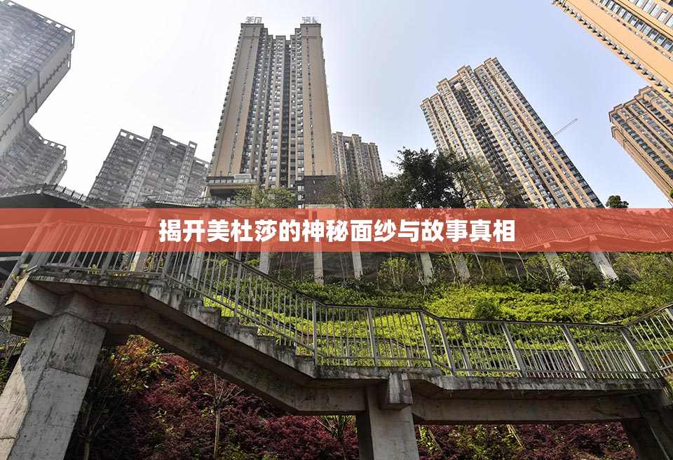 揭开美杜莎的神秘面纱与故事真相